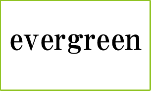 パーソナルトレーニングジムevergreen